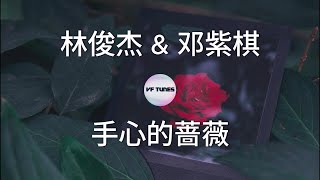 【林俊杰 & 邓紫棋：手心的蔷薇】 歌词 Lyrics