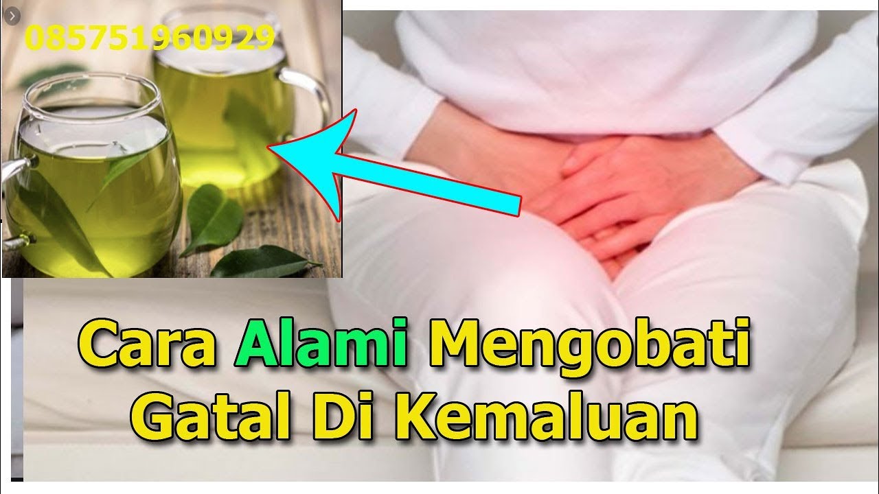 Cara Alami Mengobati Gatal Di Kemaluan Wanita YouTube