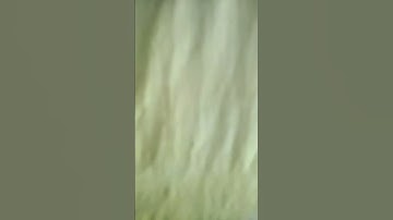 #shorts Loop video ♾ time