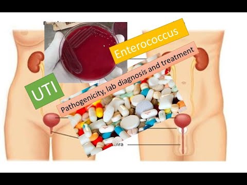 Video: Enterococcus Faecalis: Cēloņi, Simptomi Un ārstēšana