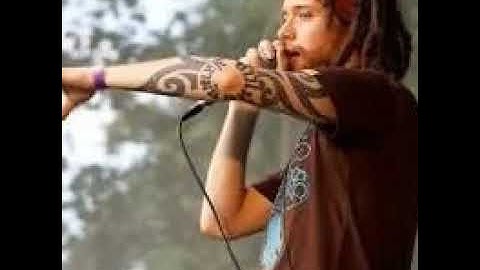 MC Xander - Higher Nature (Live Looping Jungle)