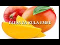 FAIDA KUMI 10 ZA MAEMBE MWILINI FAIDA KUMI 10 ZA MAEMBE MWILINI