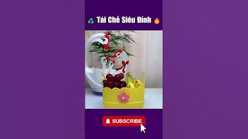 Bí Kíp Tái Chế Đồ Cũ: Biến Rác Thành Kho Báu Ngay Tại Nhà#meovatcuocsong #meovayhay