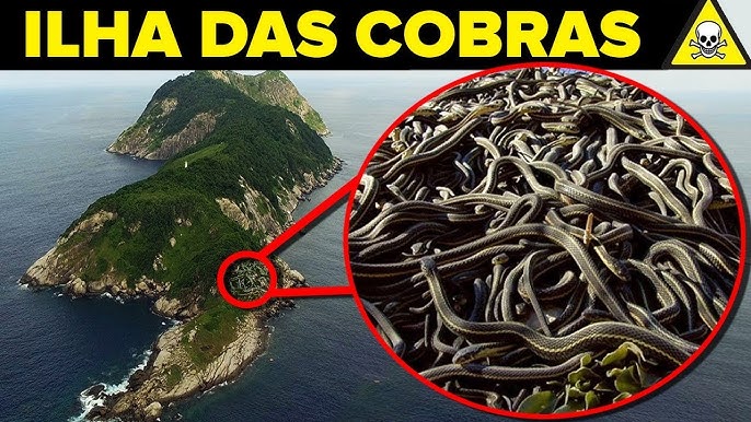 Fundamar – Fundação Marlin Azul - Ilha brasileira foi fechada para  visitação por ter cobras perigosíssimas cujo veneno derrete a carne humana