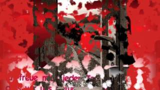Lass` mich in Dein Leben - Helene Fischer