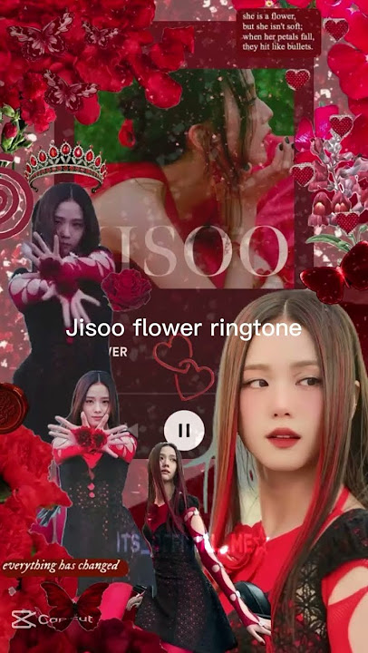 jisoo flower ringtones ππΉπΈ