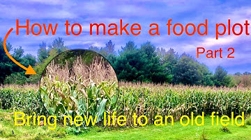 How to make a food plot Part 2