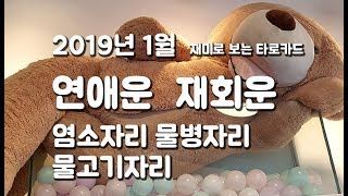 2019년 1월 연애운 재회운 (염소자리, 물병자리, 물고기자리) / 타로카드운세
