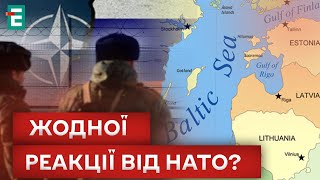 😲 росія ЗМІНИЛА КОРДОНИ з НАТО?! ЩО КОЇТЬСЯ?