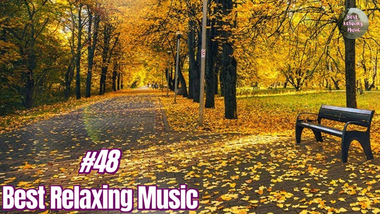 48 Best Relaxing Music 💛 Relax Music, Stress Relief Music, Study Music, Healing Music, Sleep