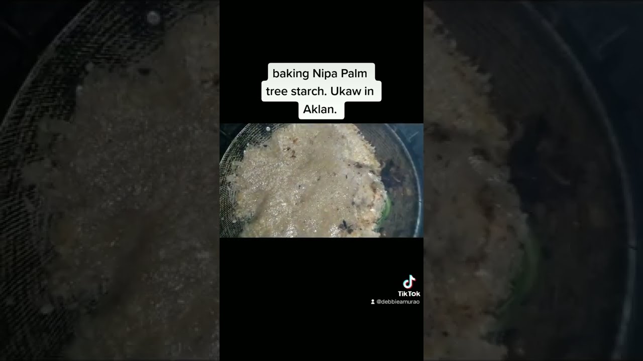 HOW TO BAKE NIPA PALM TREE CAKE | BAKING NIPA STARCH CAKE | UKAW