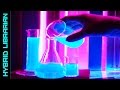 The 10 most amazing chemical reactions with reactions