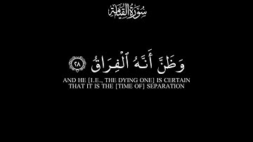 ﴿ وجوه يومئذ ناضرة ﴾ماهر المعيقلي كرومات قرآن كريم شاشة سوداء 