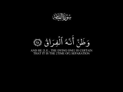 وجوه يومئذ ناضرة ماهر المعيقلي كرومات قرآن كريم شاشة سوداء