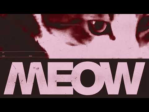 Cat Dealers - MEOW