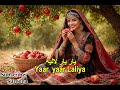 YAAR YAAR LALIYA PASHTO NEW SONG 2026 AI MUSIC SUROONA