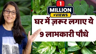 🔴 YE 9 PAUDHE HAR GHAR MEIN ZARUR HONE CHAHIE / ये 9 पौधे हर घर में ज़रूर होने चाहिए  LUCKY PLANTS