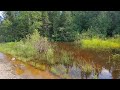 Unclogging Culvert Grate To Drain Flooding Pond, Blocked By Beavers