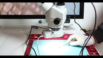 PHONEFIX 3.5X-90X Trinocular Stereo Zoom Industrial Microscope