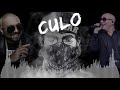 Pitbull ft. Lil Jon, Sean Paul - CULO remix