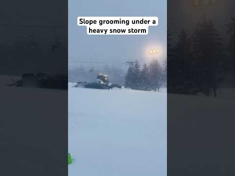 Video: Nattskidåkning nära Montreal