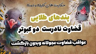 پایان تلخ قضاوت عجولانه: روایت دو کبوتر را شما تکرار نکن | کلیله و دمنه