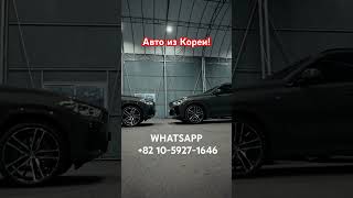 WHATSAPP  +82 10-5927-1646