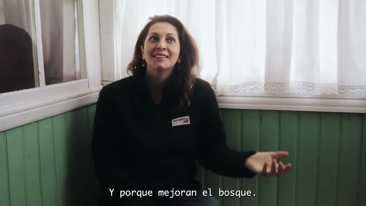 Fungi Cosmology - Entrevista con Liliane Fraiji.