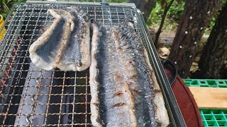 자연산 장어~ 으아~~저녁식사 맛있게 하세요
