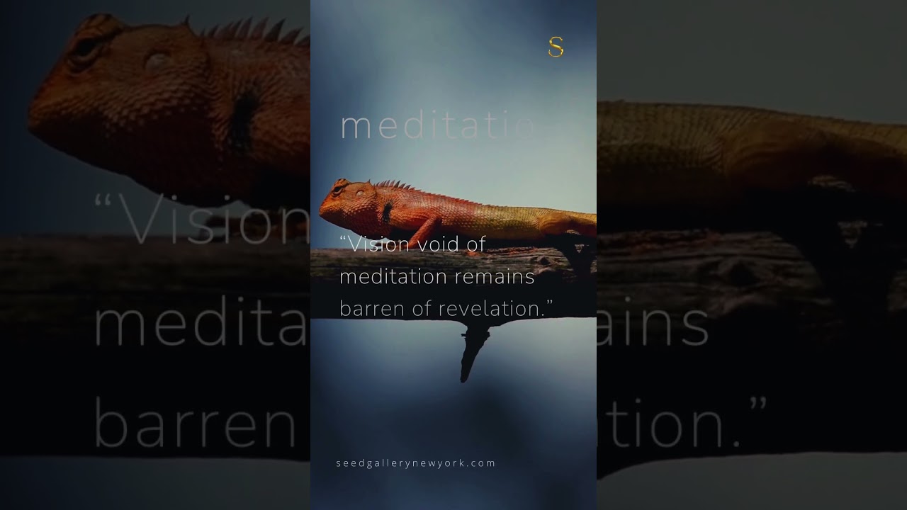 Enriching Vision Through Meditation | Seed Gallery 
