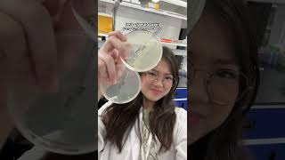Check the bacteria on your cellphone casing 🦠 #foodtech #microbiology #science #bacteria #foodtec...
