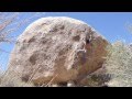Joshua Tree Bouldering - Pumping Monzonite - V7