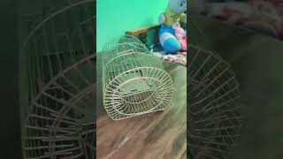 Wire Heavy Iron Rat Trapveer Singh Vlog