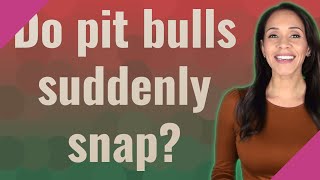 Do Pit Bulls Suddenly Snap?