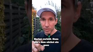 Rosen schneiden im Herbst - Vermeide diesen Fehler! #gartentipps ##garten #gartenarbeit #rosen