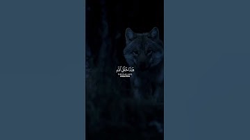#تلاوة_خاشعة #اكسبلور #قرآن #fyp