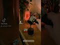 معقول أنساك فضل شاكر تصميم معقول أنساك فضل شاكر تصميم