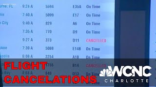 Weather, staffing blamed for American Airlines travel headache