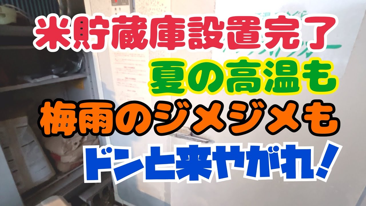 これで夏場のカビにも虫にもビクビクせんぞ！…。の巻