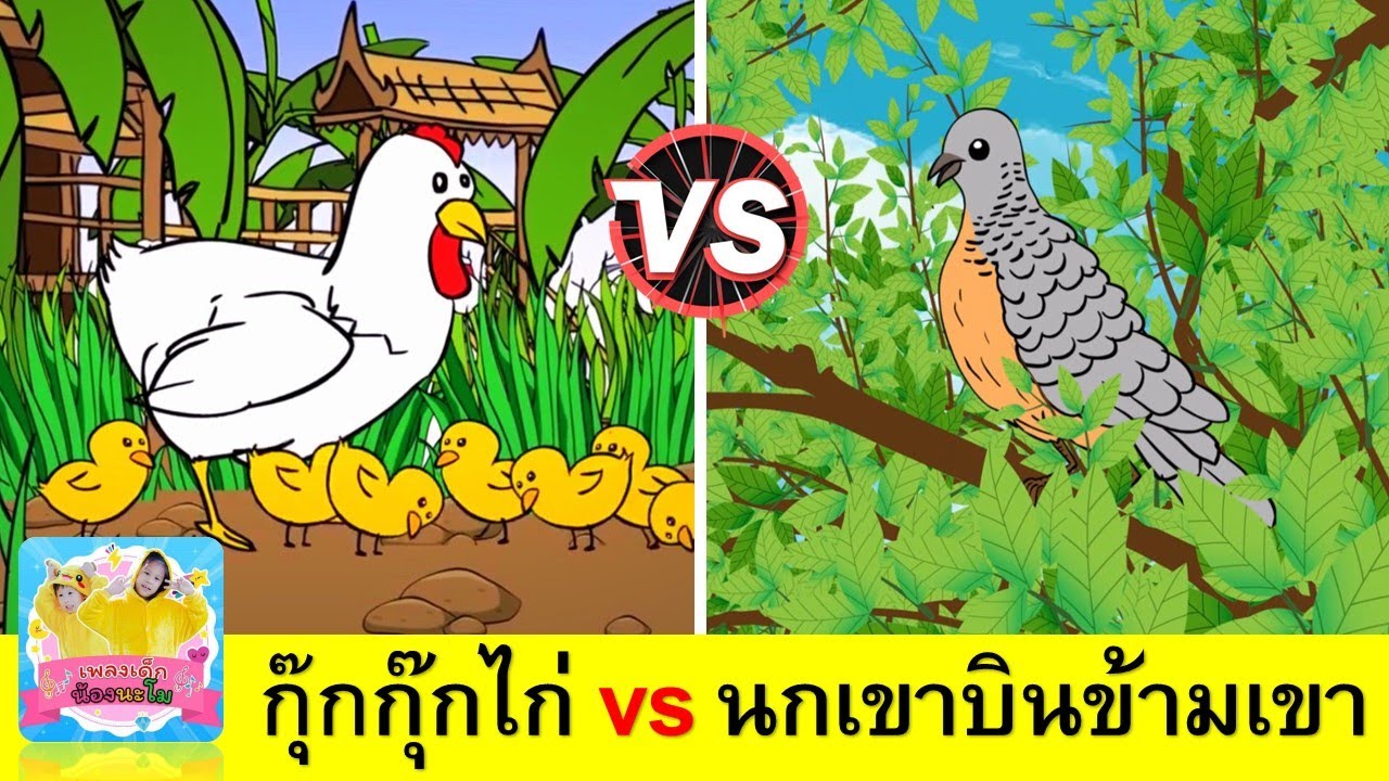 กุ๊กไก่ vs นกเขา | เพลงเด็กเรียนรู้เรื่องสัตว์ | ไก่ กุ๊กกุ๊ก ไก่ + นกเขาบินข้ามเขา | สื่อการเรียน