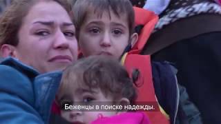 Международный день мира - послание главы ООН Международный день мира - послание главы ООН
