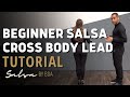 Salsa dancing basics tutorial  beginner cross body lead  demetrio  nicole