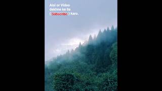 Calm &amp; Peaceful Darjeeling Mountains 🏔️ Misty Nature, Cold Wind &amp; Relaxing Views #shorts