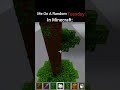 Minecraft ✨🚂