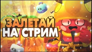 Стрим по Бравл старс🍄Мини игры🌵✨