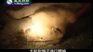 地球宣言2013-01-16 埃托沙国家动物园的生态科研