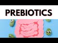 What is Prebiotic | Gut Health