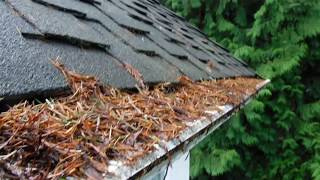 Major Leaf filter problems