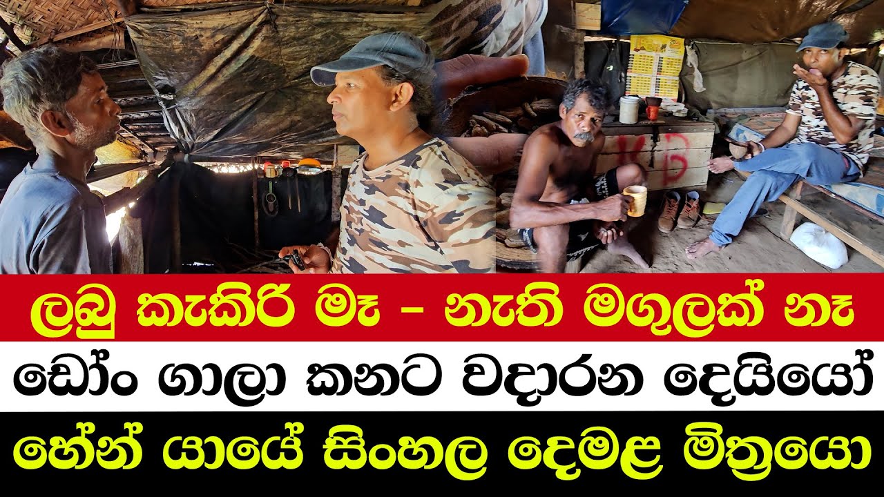 ලබු කැකිරි මෑ - නැති මගුලක් නෑ | ඩෝං ගාලා කනට වදාරන දෙයියෝ | ගැහුවා සුපිරි කහට එකක්