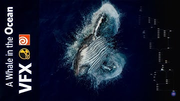 A Whale in the Ocean FX in Houdini and Nuke | VFX |